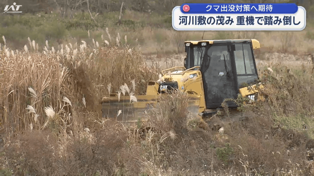 クマ出没対策へ期待　河川敷の茂み　重機で踏み倒し【岩手・花巻市】