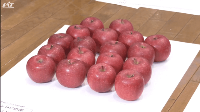 いわて純情りんごコンテスト　今年の出来は【岩手・北上市】