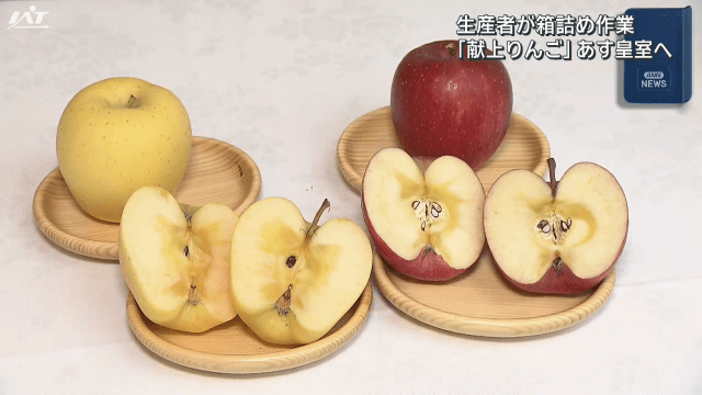 生産者が箱詰め作業　献上リンゴ　皇室へ【岩手・盛岡市】