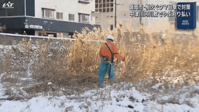 相次ぐクマ目撃で対策　中津川河川敷でやぶ刈り払い【岩手・盛岡市】