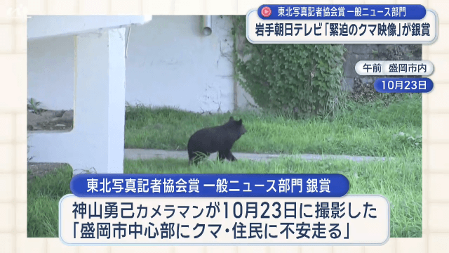 東北写真記者協会賞一般ニュース部門　岩手朝日テレビ「緊迫のクマ映像」が銀賞【岩手】