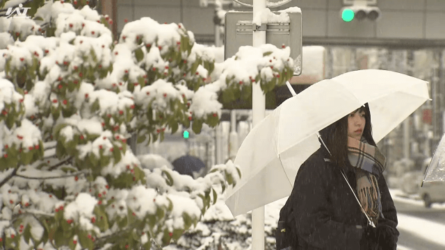内陸で積雪　盛岡市内も雪景色　このあとも雨や雪の見通し【岩手】