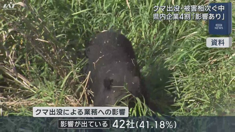 クマ出没　県内企業４割「業務に影響あり」【岩手】