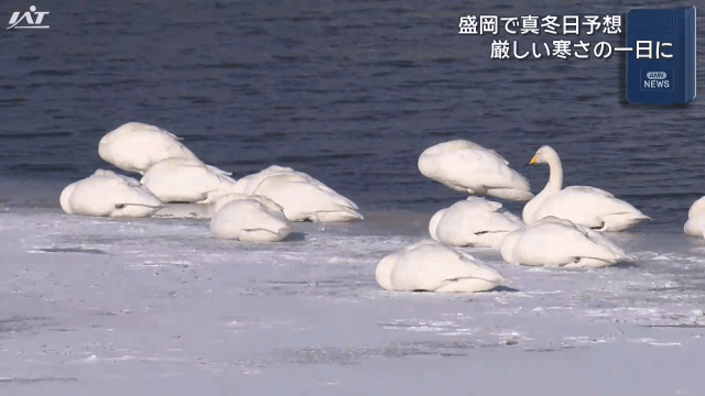 盛岡で真冬日予想　宮古市と野田村に林野火災警報【岩手】