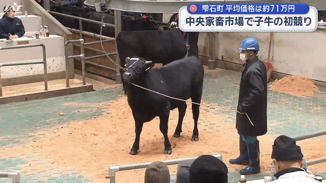 中央家畜市場初市式　子牛の初競り【岩手・雫石町】