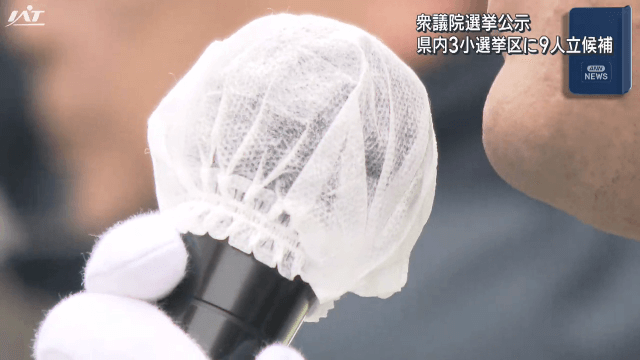衆院選公示　県内３選挙区に９人が立候補【岩手】