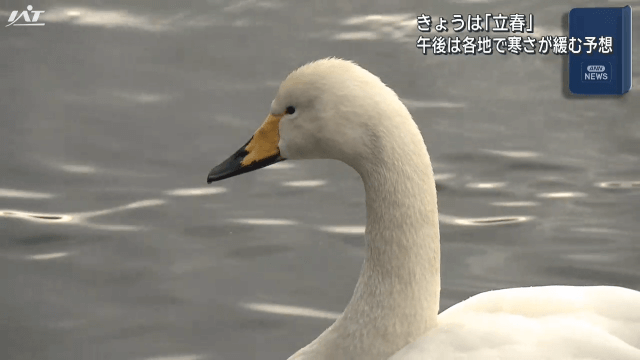 二十四節気「立春」【岩手】