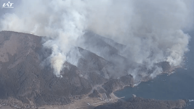 大船渡の山火事発生から１年【岩手】
