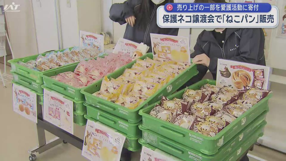 保護ネコ譲渡会で「ねこパン」販売　売り上げの一部を寄付【岩手・盛岡市】