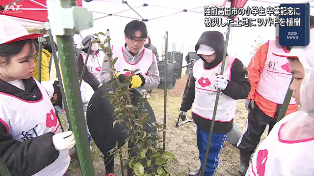児童たちが卒業記念にツバキの苗木を植樹【岩手・陸前高田市】