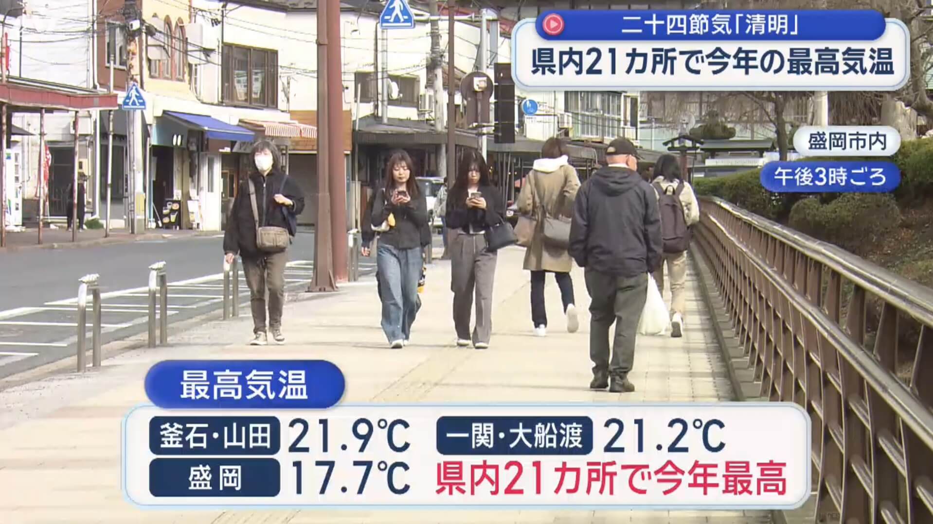 二十四節気「清明」石割桜は開花間近【岩手】