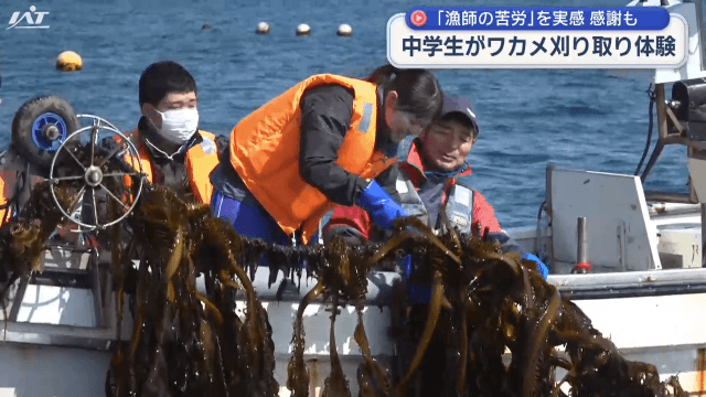 中学校の生徒が地元特産の養殖ワカメ刈り取り体験【岩手・宮古市】