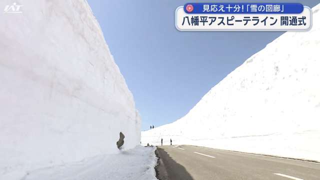 八幡平アスピーテライン開通    雪の回廊の高さ約７．１メートル【岩手・八幡平市】