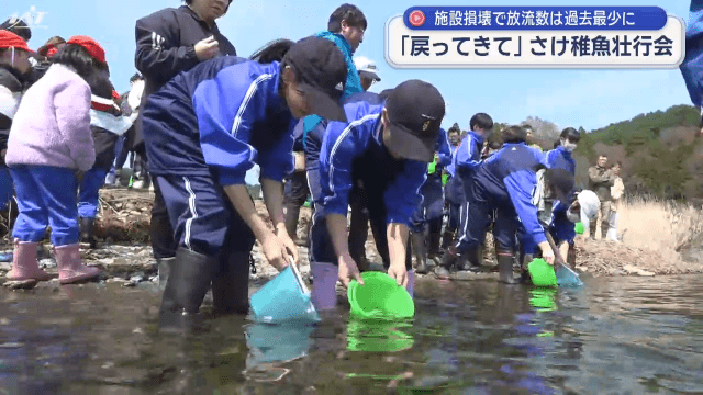 もう一度この川に戻ってきてほしいとの願いを込めて　子どもたちがサケの稚魚を放流【岩手・宮古市】