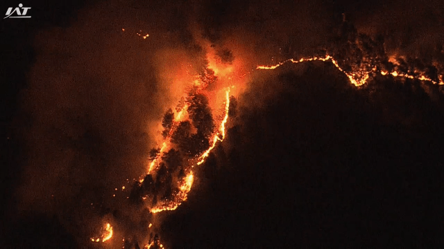 【山火事】なぜここまで延焼が拡大したのか