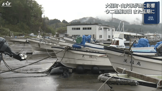 ウニ漁解禁日また延期に　大槌町・山火事影響で【岩手】