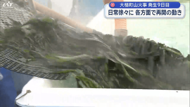 大槌町山火事９日目　日常戻る？避難指示全解除は？【岩手】