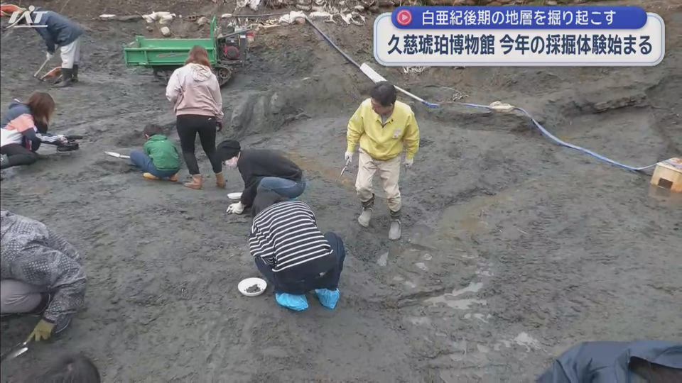 久慈琥珀博物館　今年の採掘体験始まる　約９０００万年前の地層掘り起こす【岩手・久慈市】