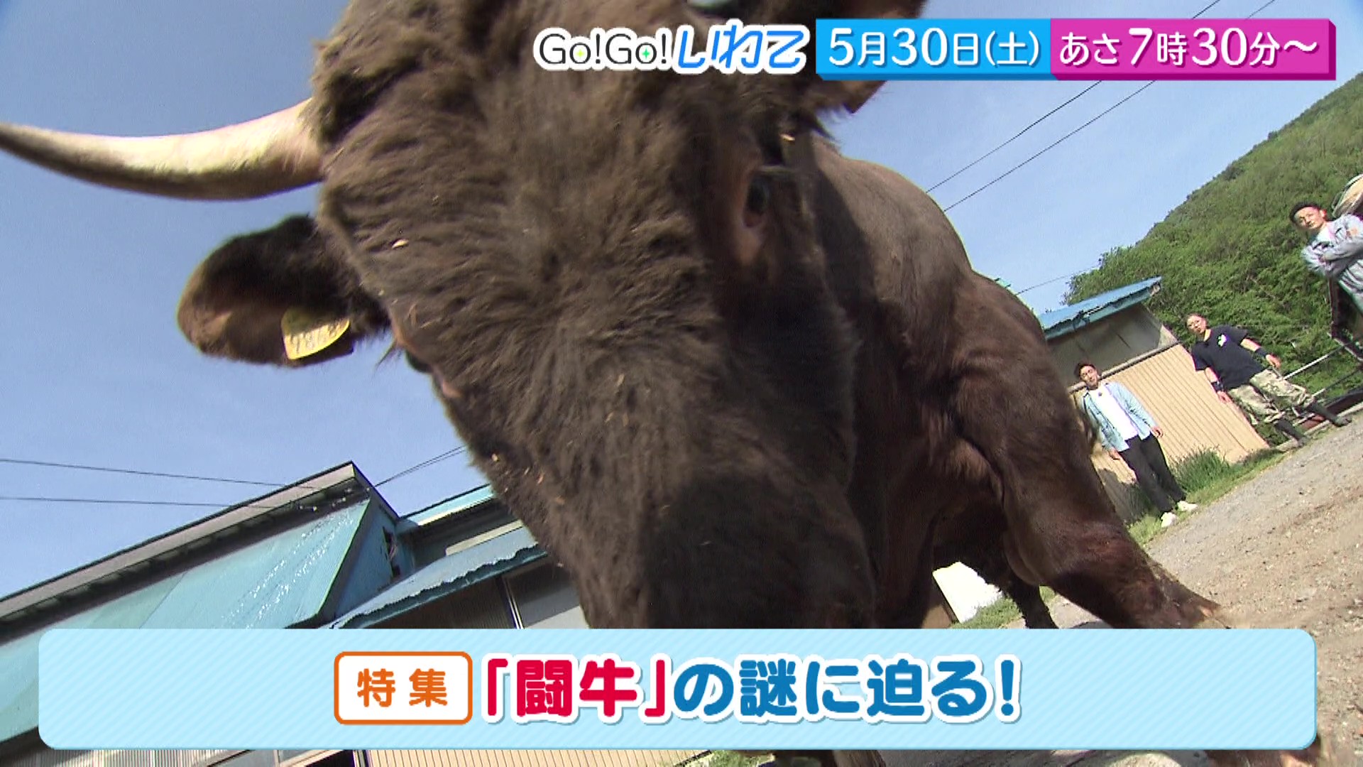 Go!Go!いわて5/30(土) #250