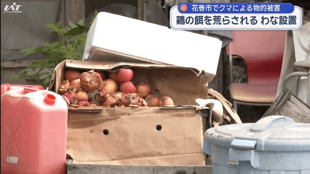 クマが鶏の餌を荒らす【岩手・花巻市】