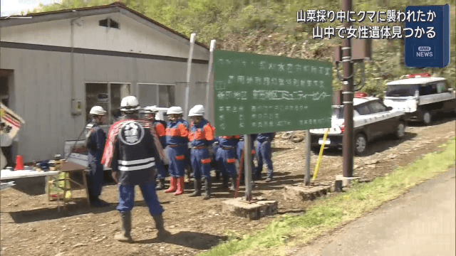 八幡平市の山中に６０代女性の遺体　山菜採り中にクマに襲われたか【岩手】