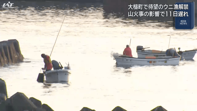 待望のウニ漁解禁　山火事の影響で11日遅れ【岩手・大槌町】