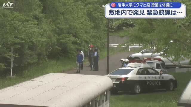 岩手大学でクマ出没【岩手・盛岡市】