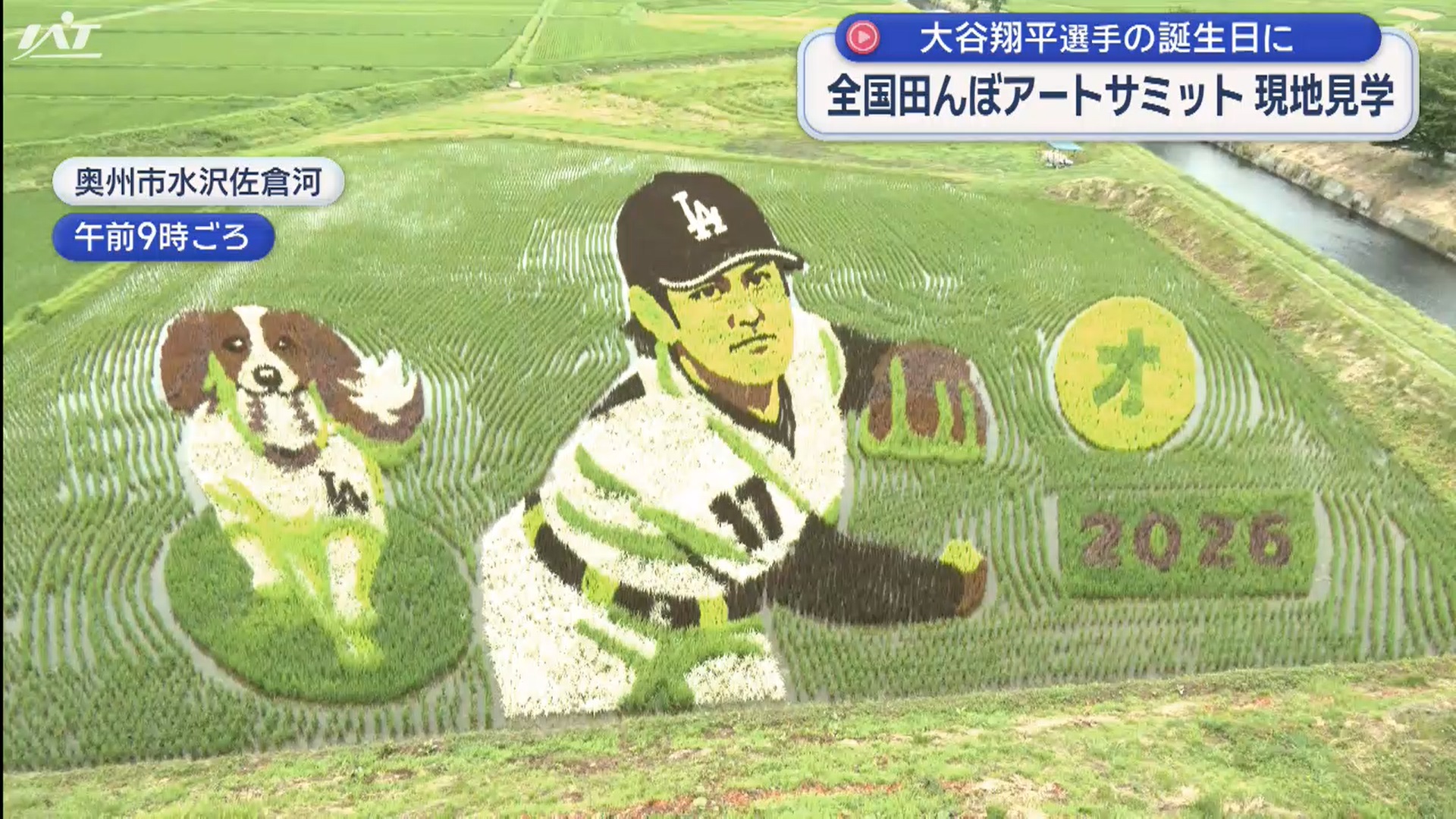 全国田んぼアートサミット　現地見学会【岩手】