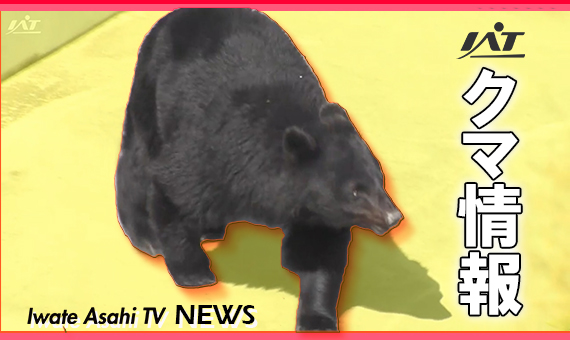 緊急銃猟で駆除　海水浴場近くにクマ【岩手・山田町】