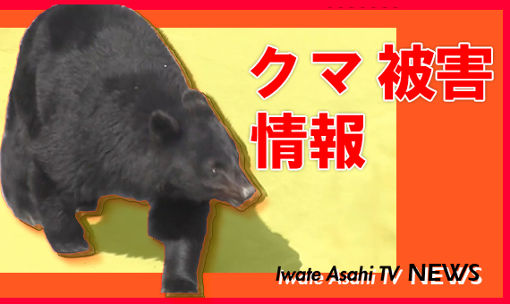 クマに牛の餌を食べられる被害【岩手・遠野市】