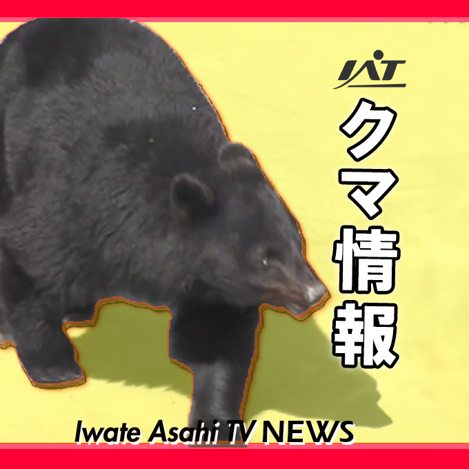 盛岡・旧県営野球場近くでクマの目撃情報【岩手】