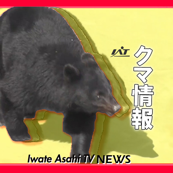 盛岡・県立博物館駐車場でクマの目撃情報