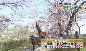 観光馬車運行