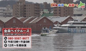 金森ベイクルーズ住所