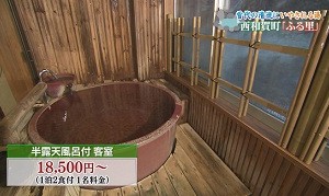 半露天風呂付客室