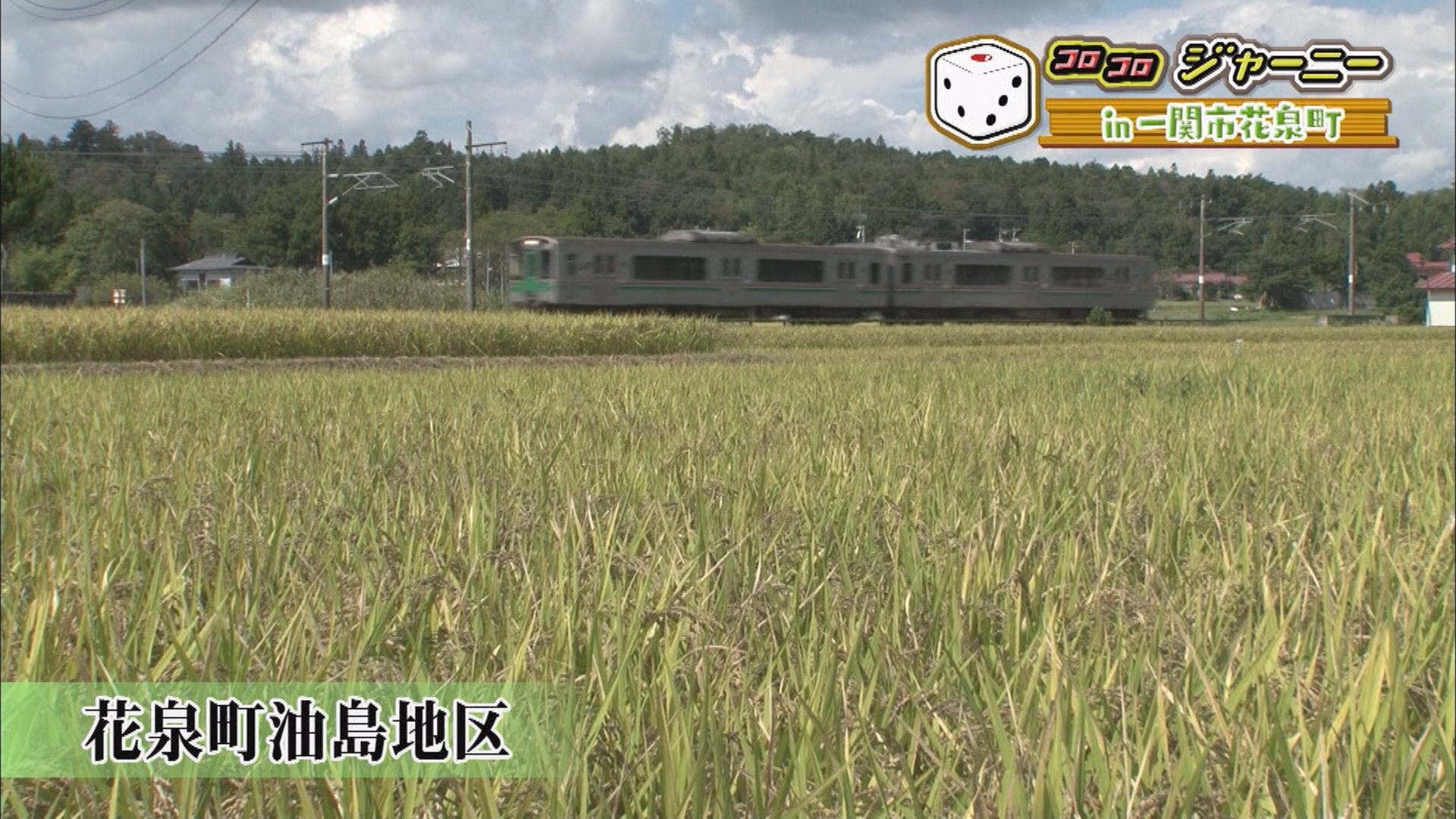 コロコロジャーニー 一関市花泉町編 いいコト 見たい 知りたい 出かけたい コロコロジャーニー 一関市花泉町編 いいコト 見たい 知りたい 出かけたい