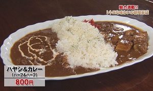 ハヤシ&カレー