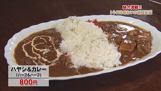 ハヤシ&カレー