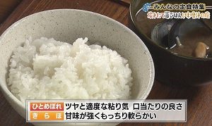 ご飯の特徴