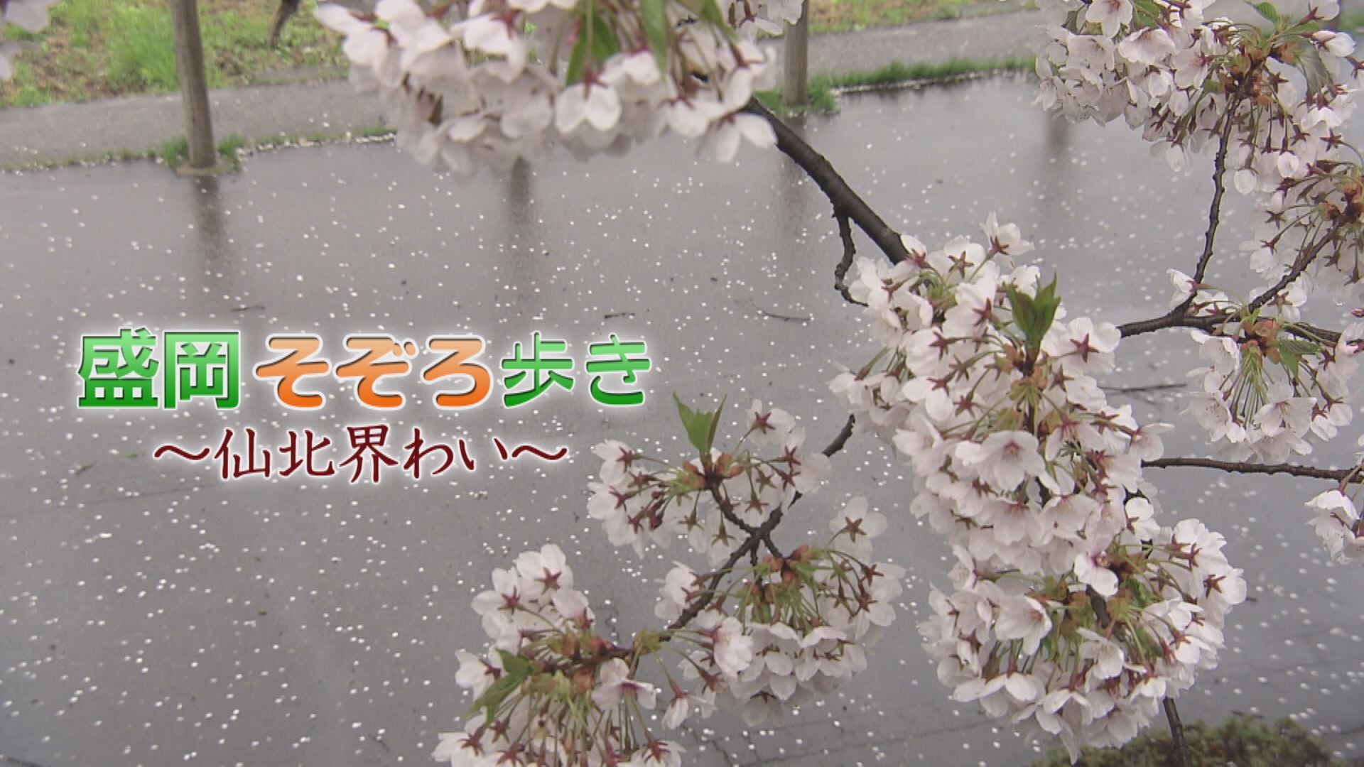 盛岡そぞろ歩き　仙北界わい