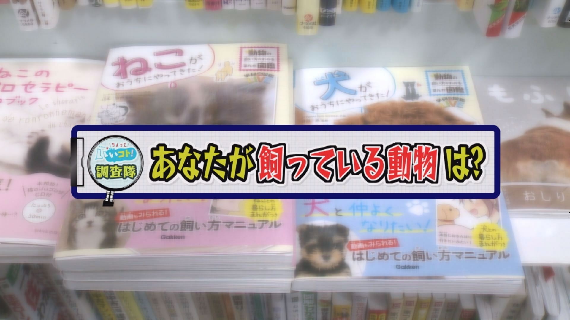 調査隊！「 あなたが飼っている動物」