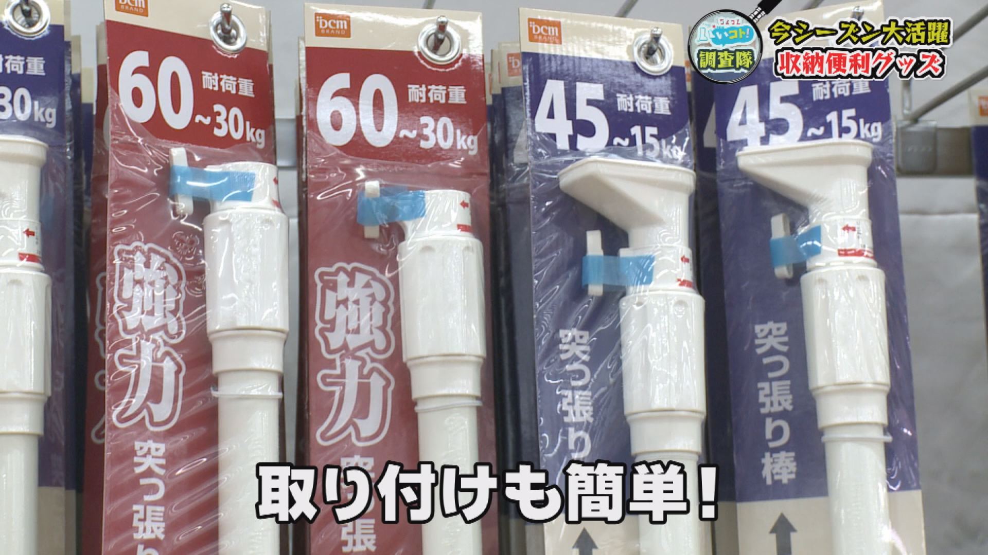 ちょっと 調査隊 冬服収納 いいコト 見たい 知りたい 出かけたい
