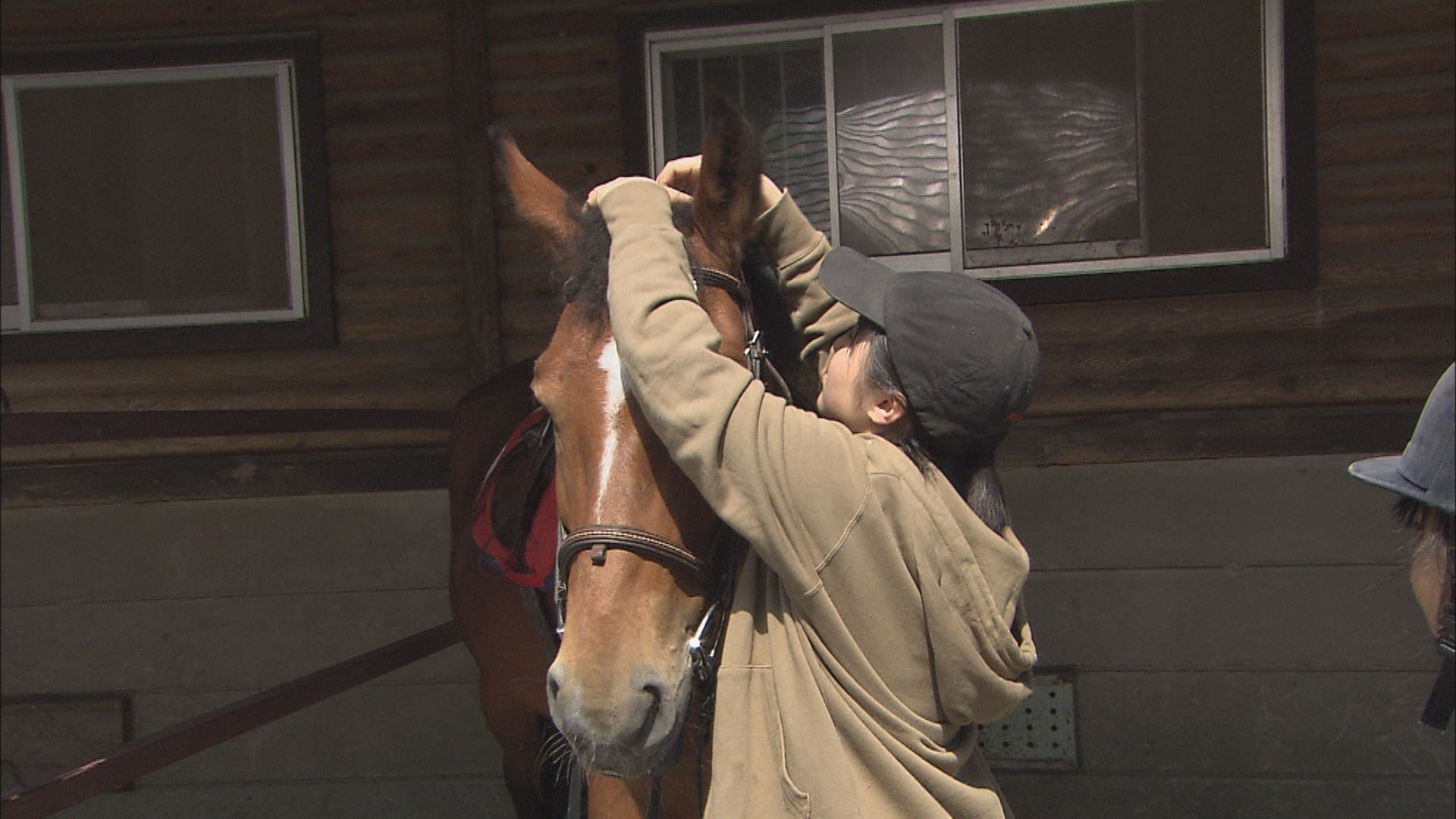 調査隊「チャグチャグ馬コの舞台裏」