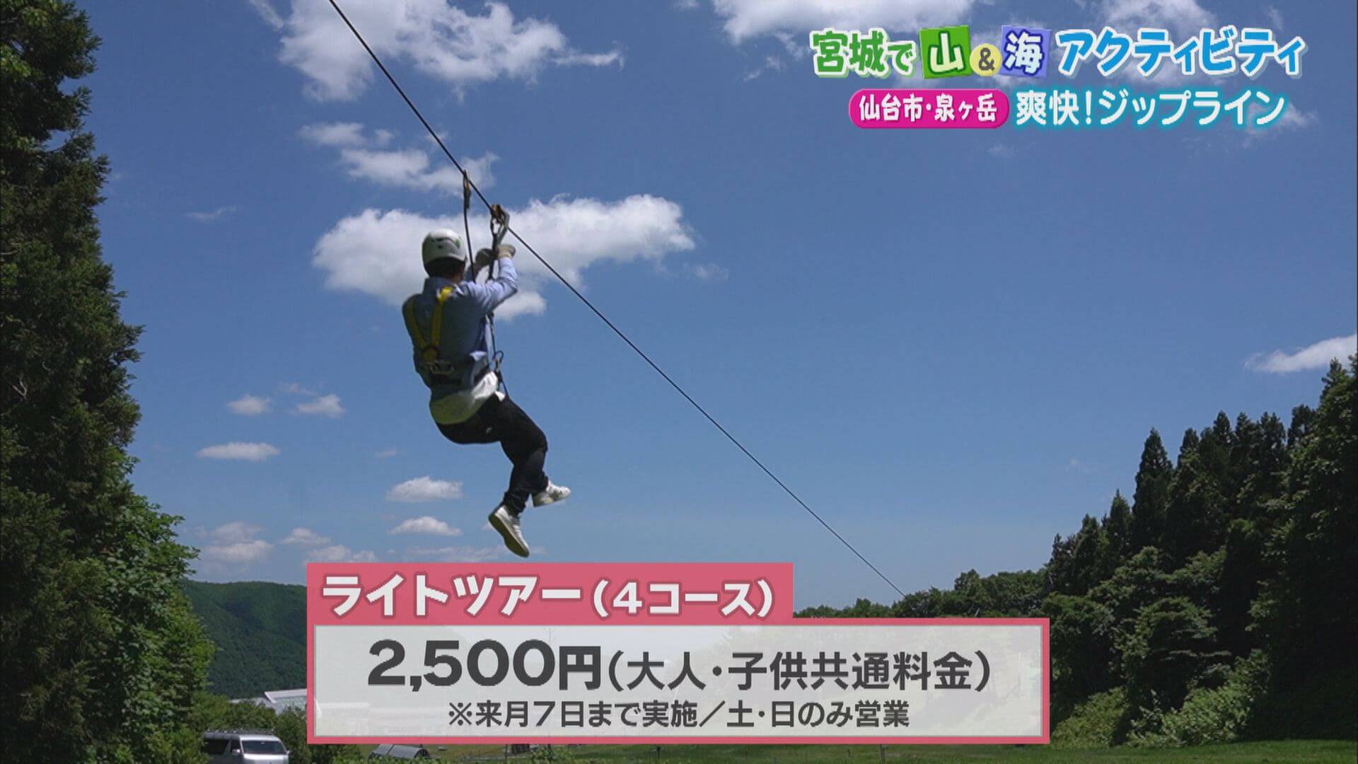 宮城で山 海アクティビティー いいコト 見たい 知りたい 出かけたい