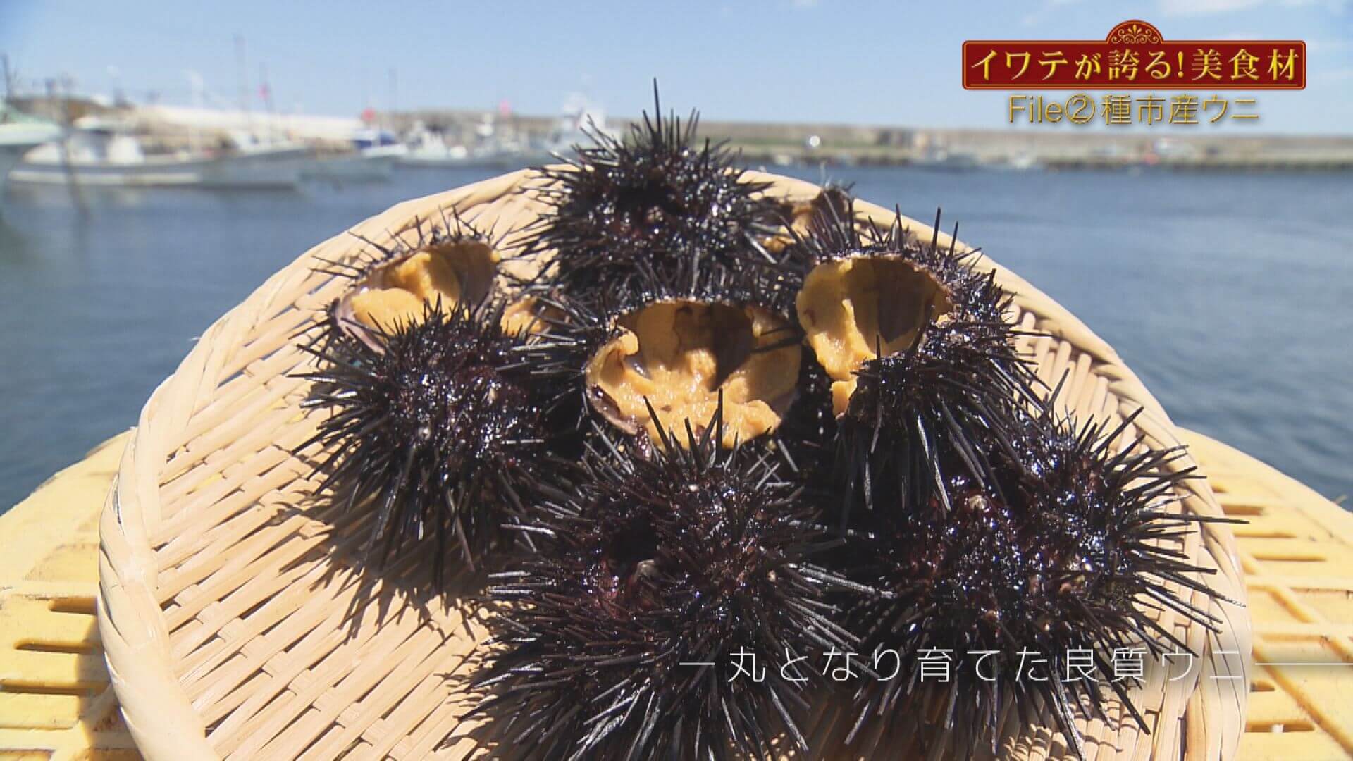 イワテが誇る！美食材