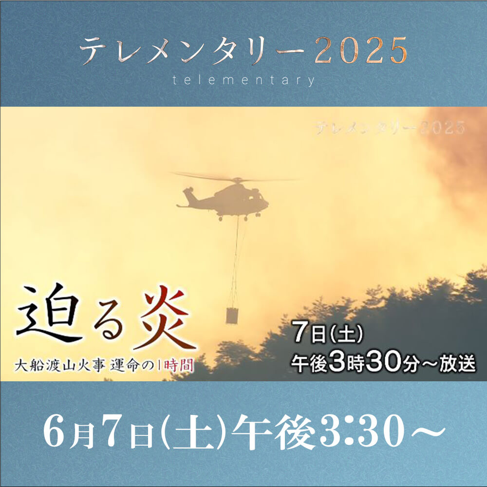 迫る炎～大船渡山火事 運命の１時間～