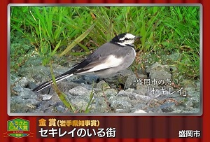 ふるさとＣＭ大賞２０１８　盛岡市