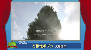 ふるさとＣＭ大賞２０１９　大船渡市