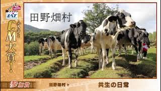 IATふるさとCM大賞　 田野畑村