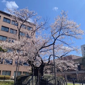 今年度もよろしくお願いします！